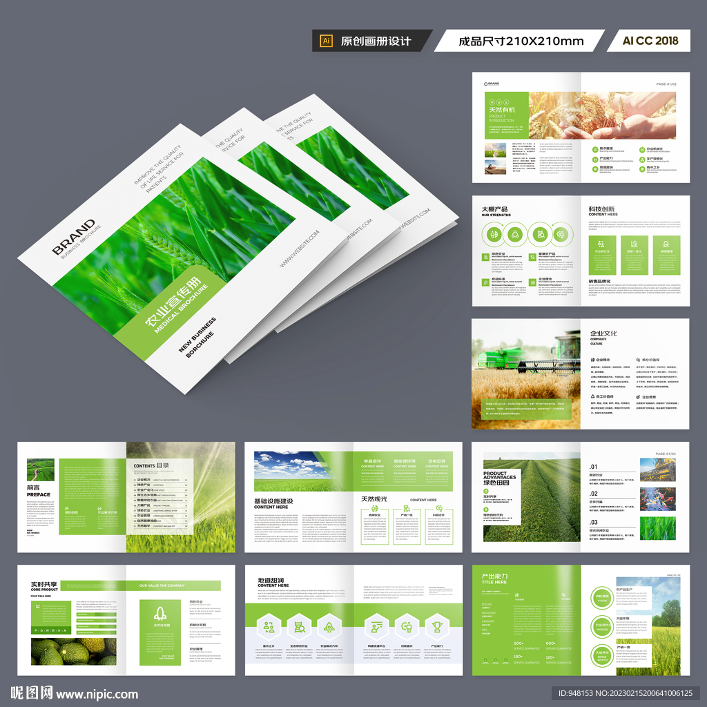 方形农产品宣传册