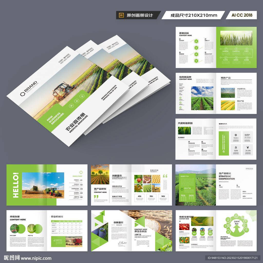 方形农产品宣传册