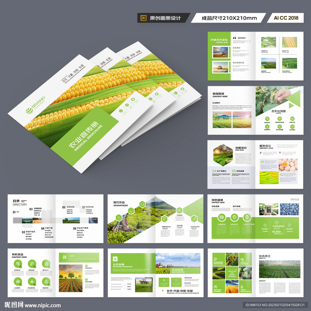 方形农业画册