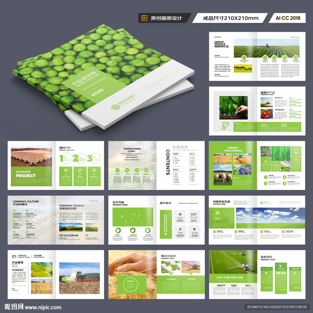 方形农产品宣传册