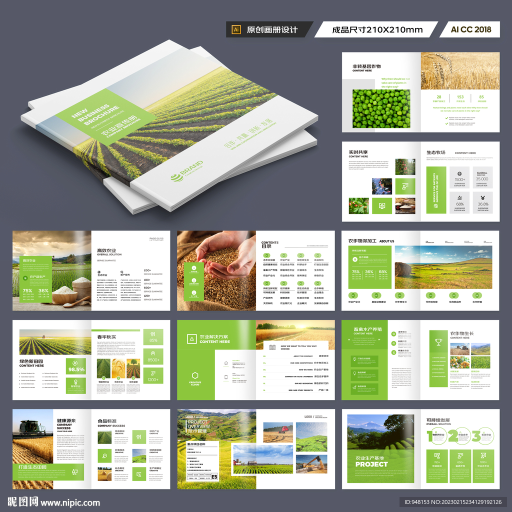 方形农产品画册