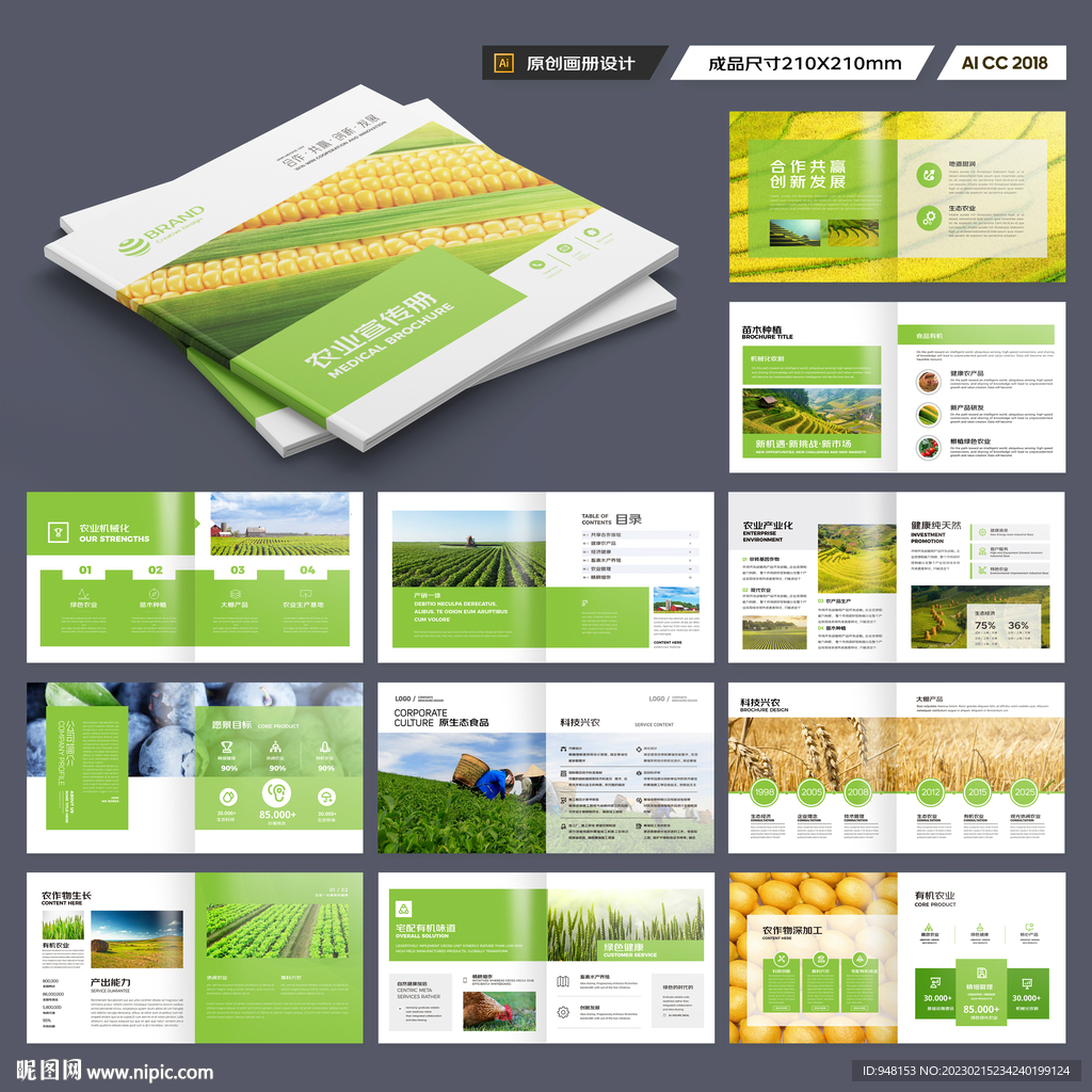 方形农业科技画册