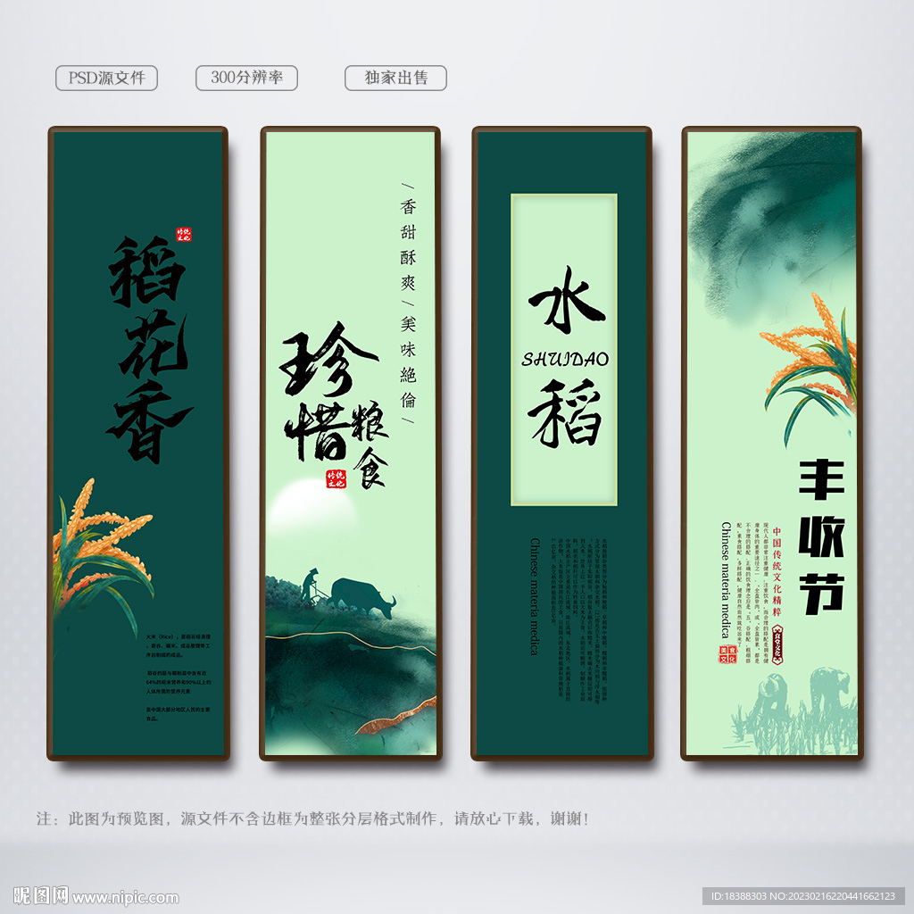 水稻 农产品