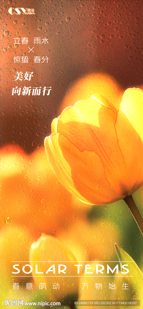 春日雨水惊蛰海报