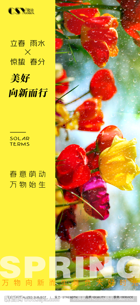 雨水惊蛰海报