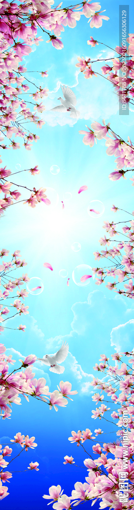 樱花