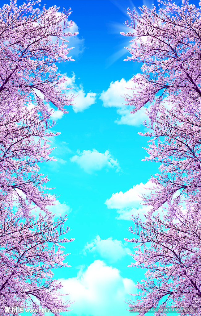 蓝天白云 樱花