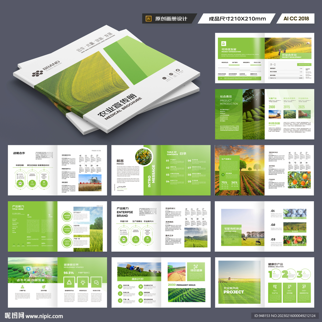 方形农产品宣传册