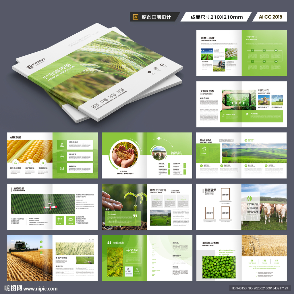 方形农业画册