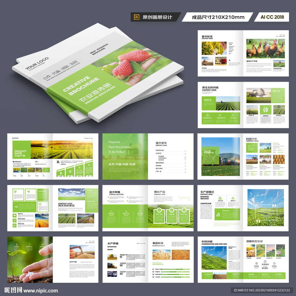 方形农产品宣传册