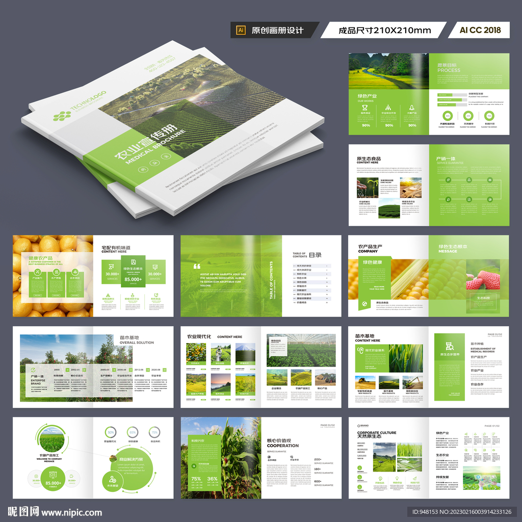 方形农产品画册