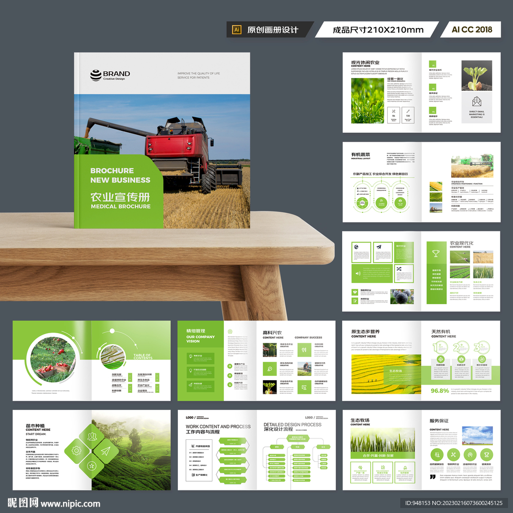 方形农产品宣传册