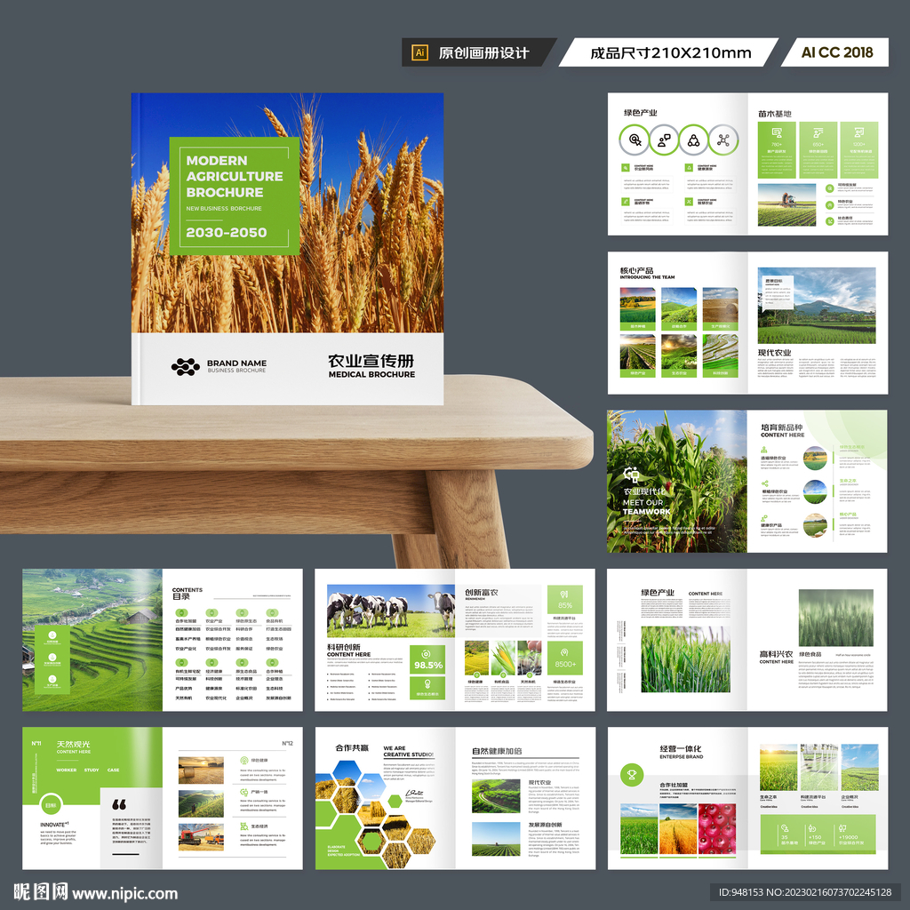 方形农产品画册