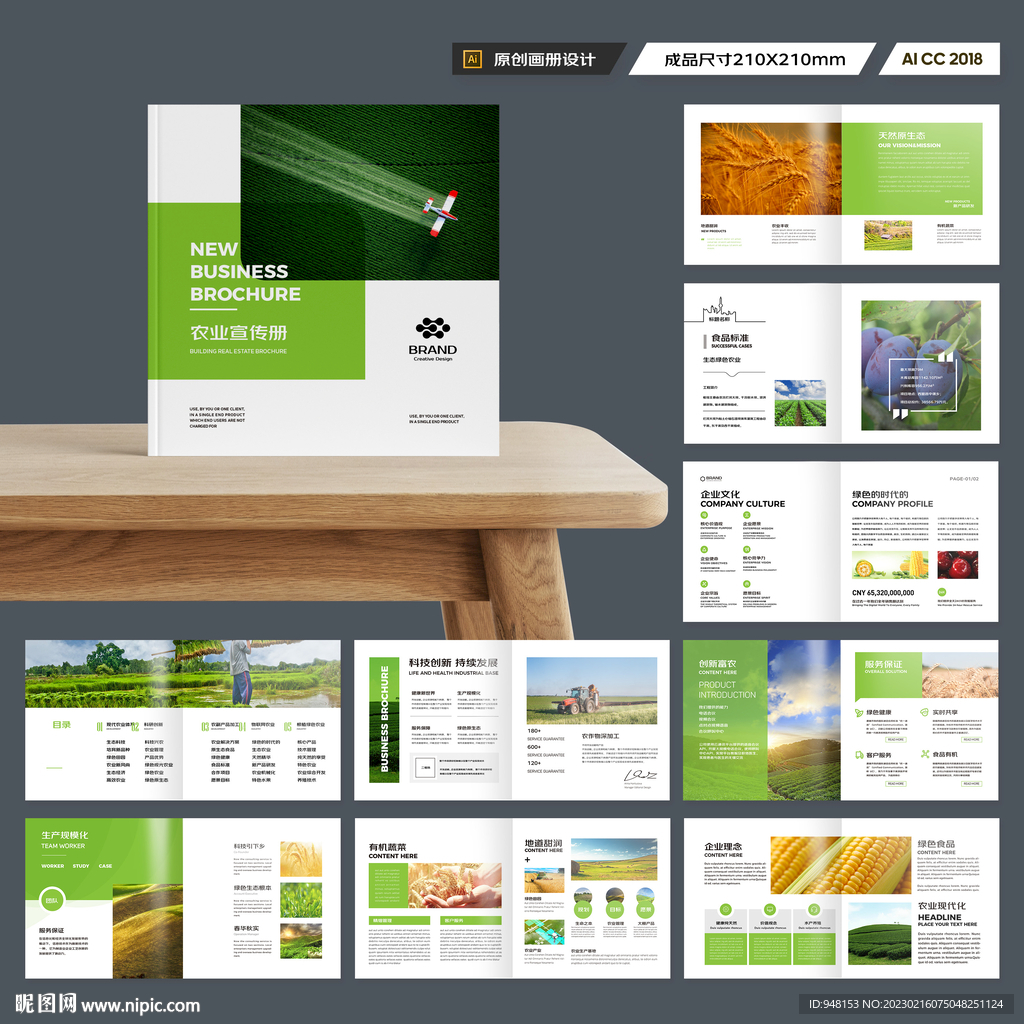 方形农产品宣传册
