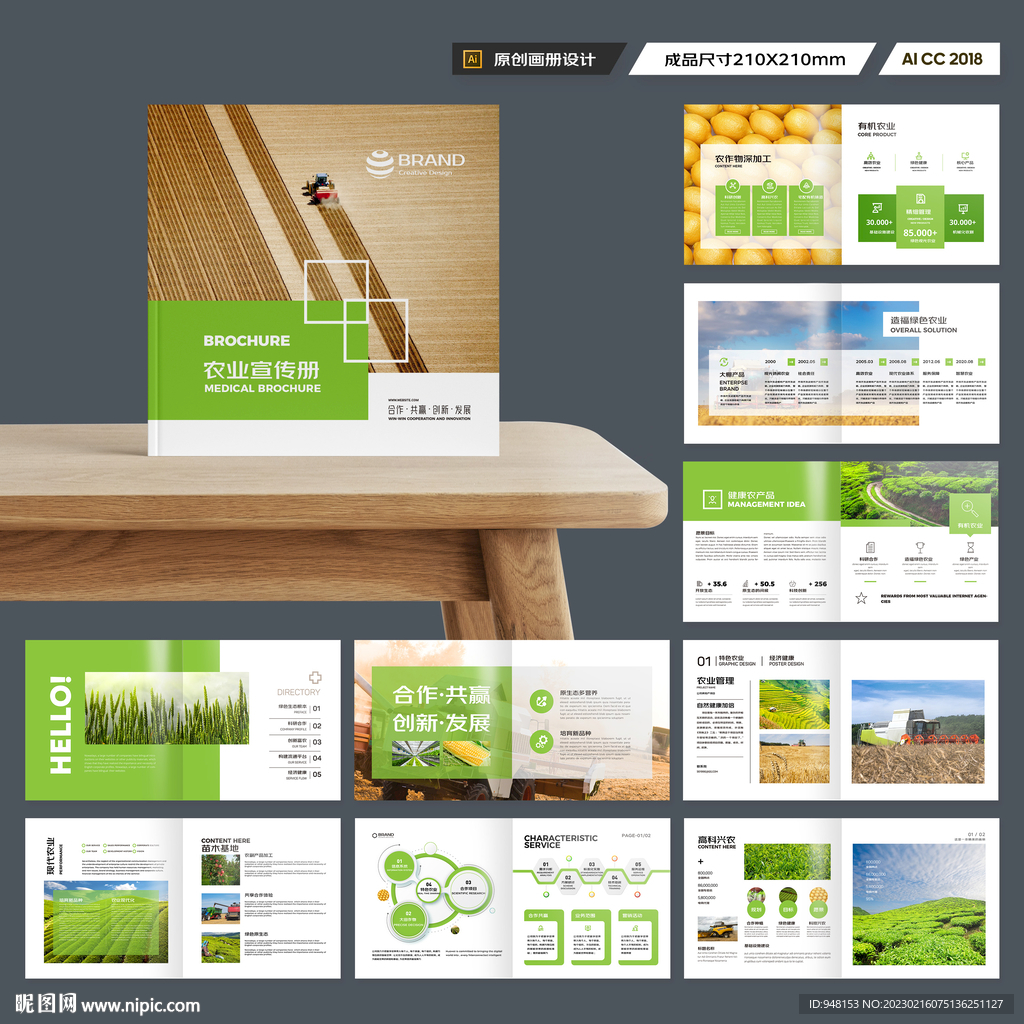方形农业合作社画册
