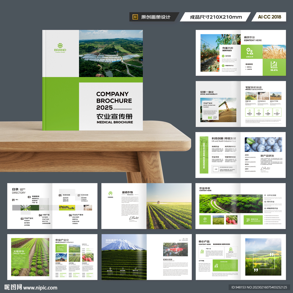 方形农产品宣传册