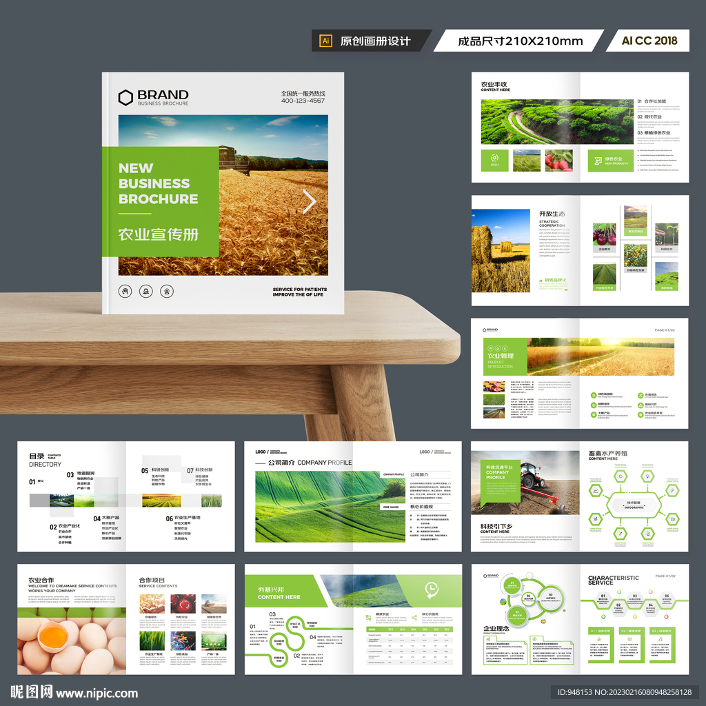 方形农产品宣传册