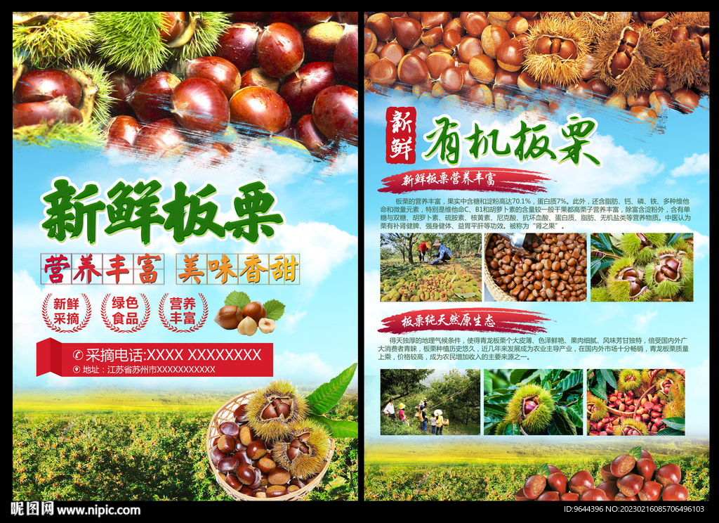 板栗单页