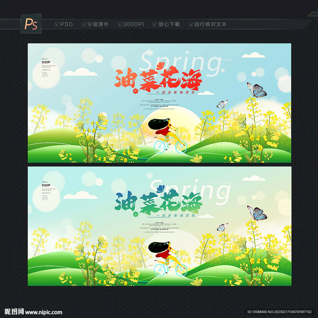 油菜花