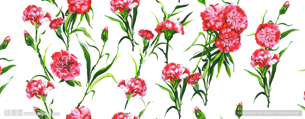 绣球花