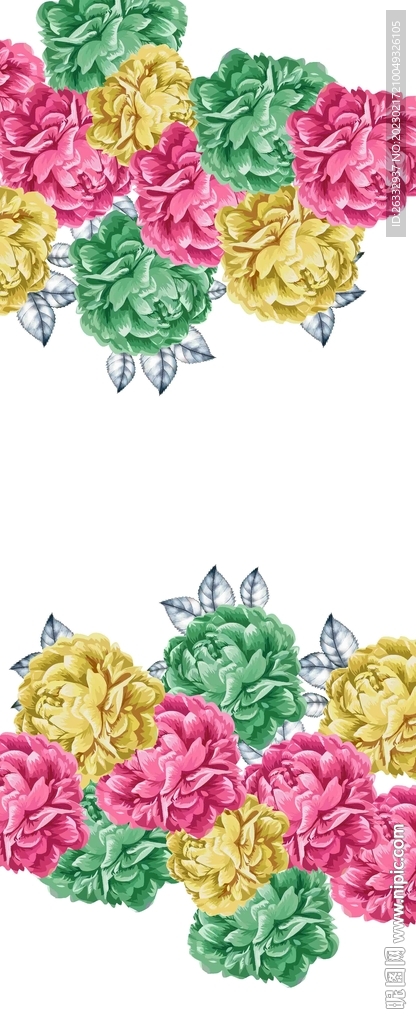 玫瑰花