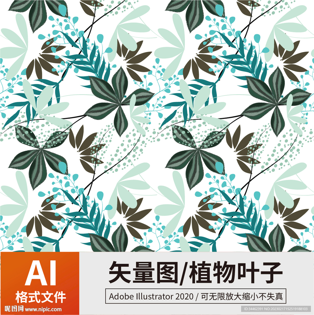 植物叶子