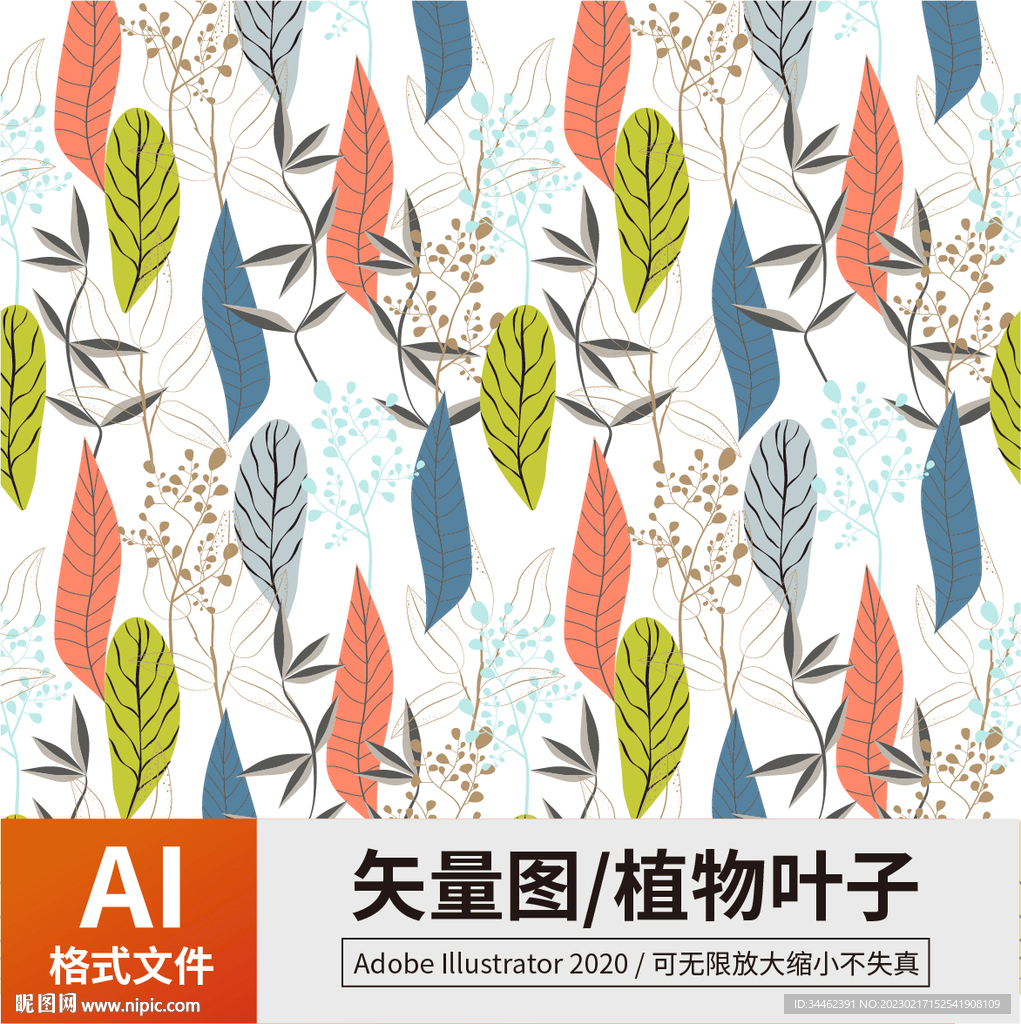 植物叶子
