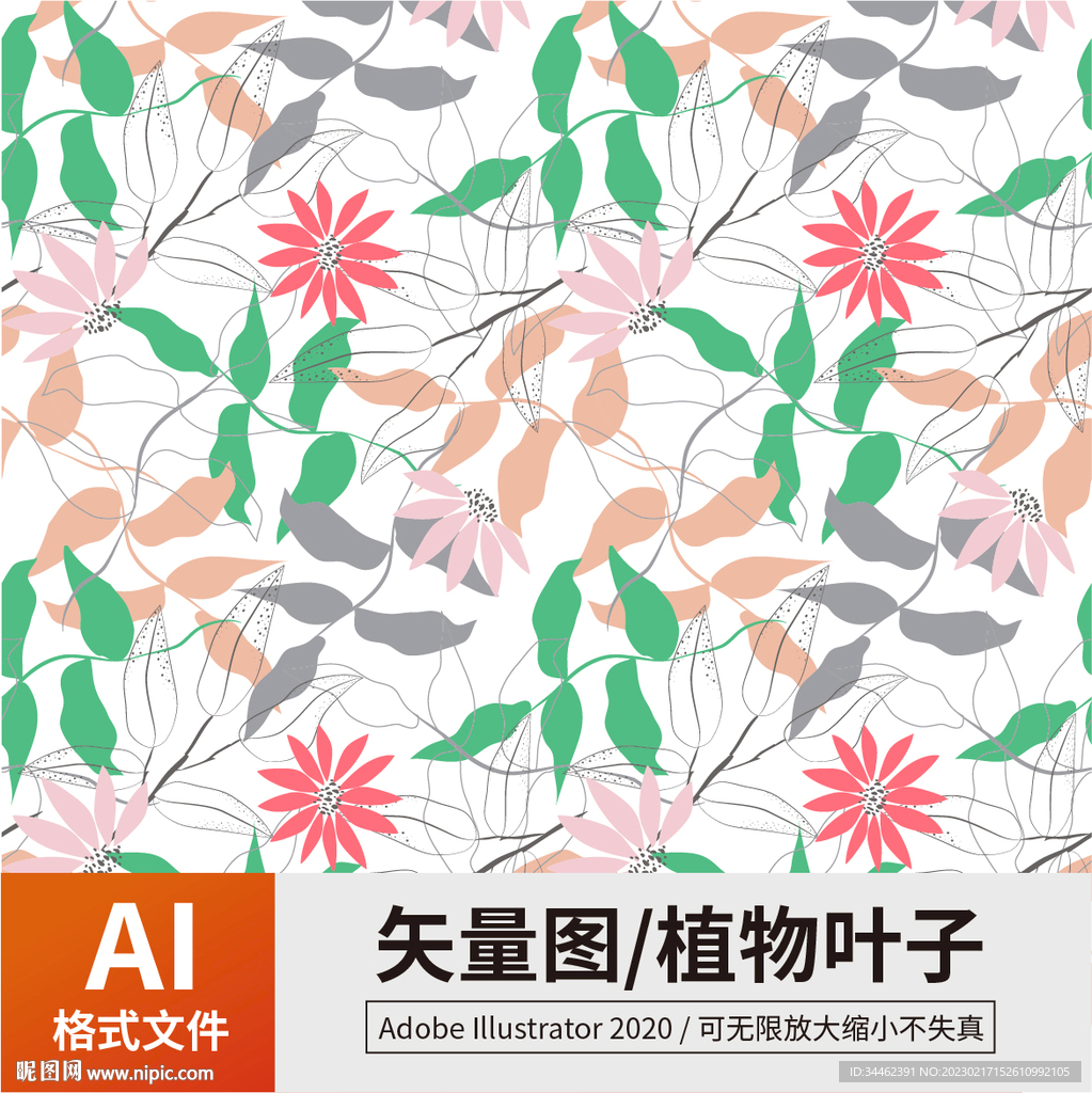 植物叶子 