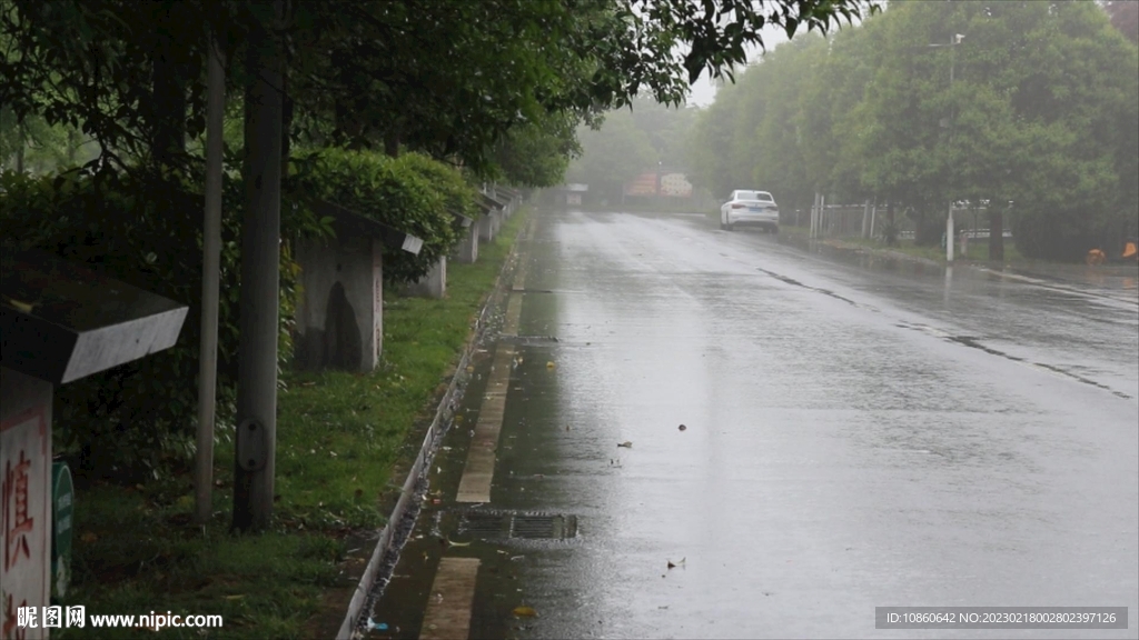 雨中公园