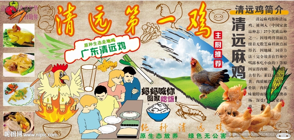 清远麻鸡背景墙CDR模板下载