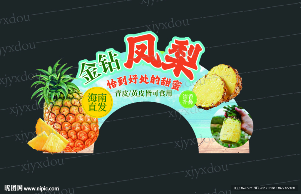 金钻凤梨