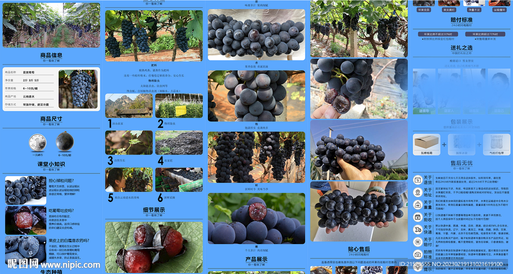夏黑葡萄