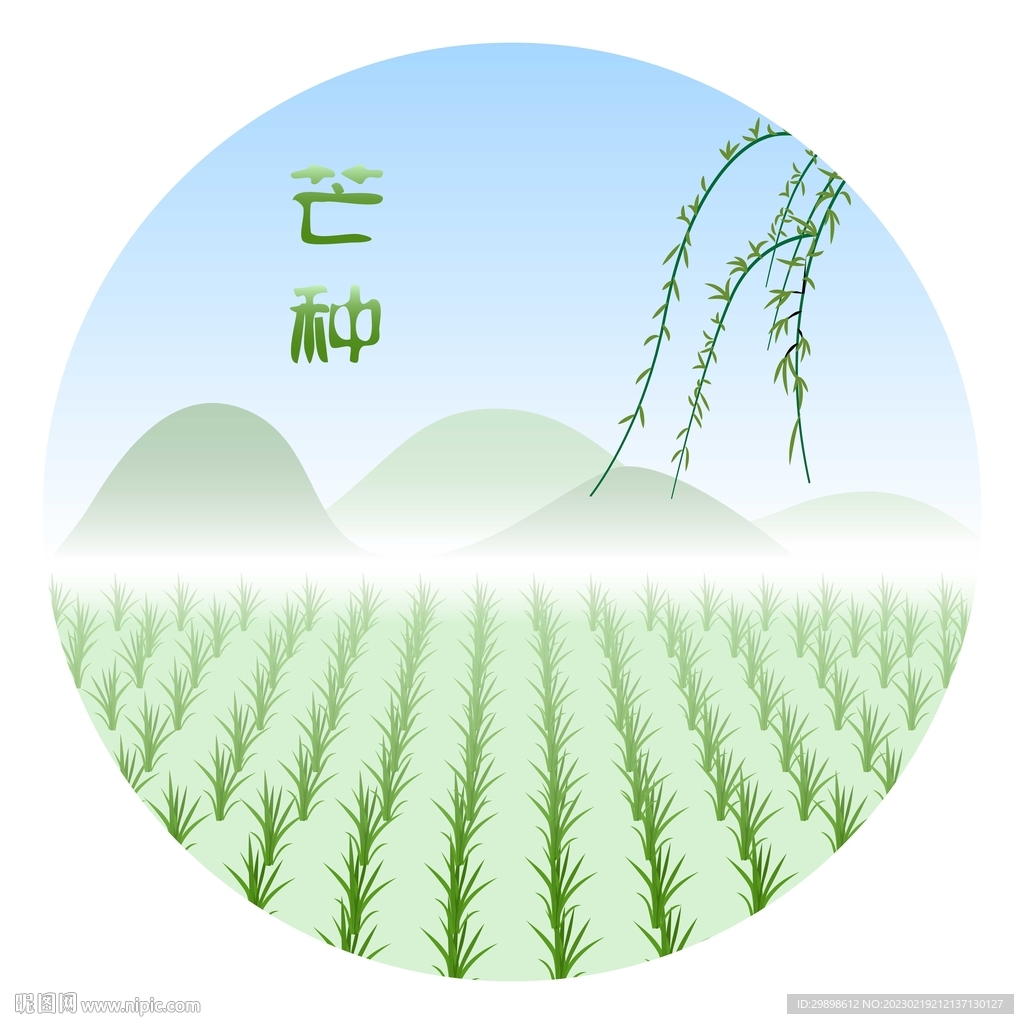 二十四节气芒种背景图矢量图