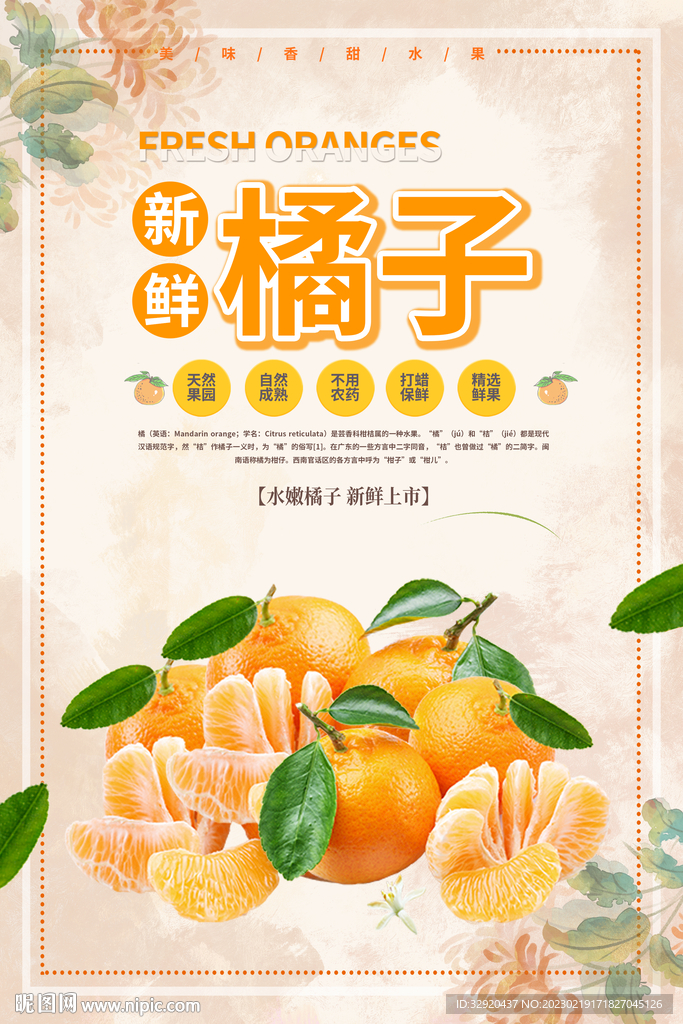 美味橘子特惠海报图片