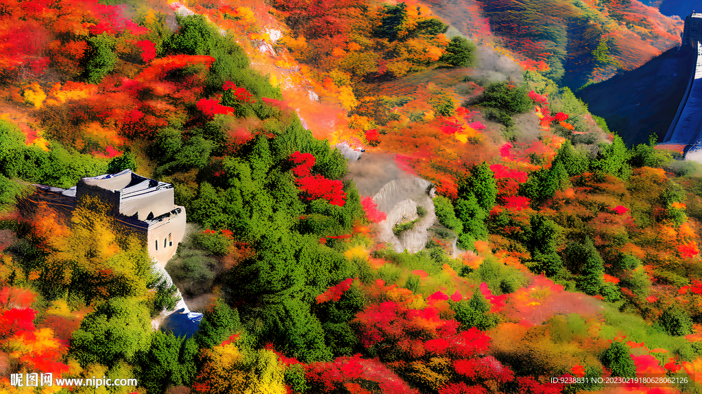 万山红遍