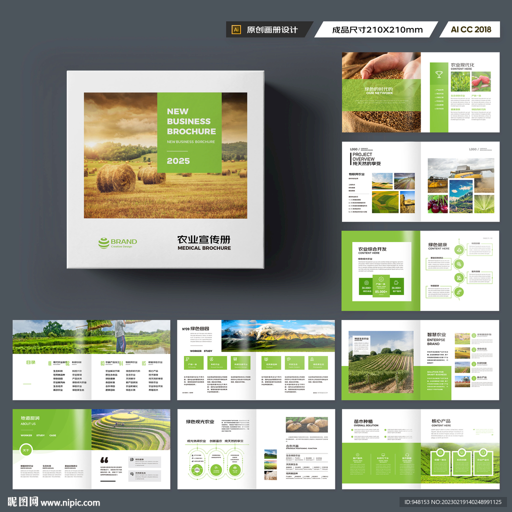 方形农业合作社画册