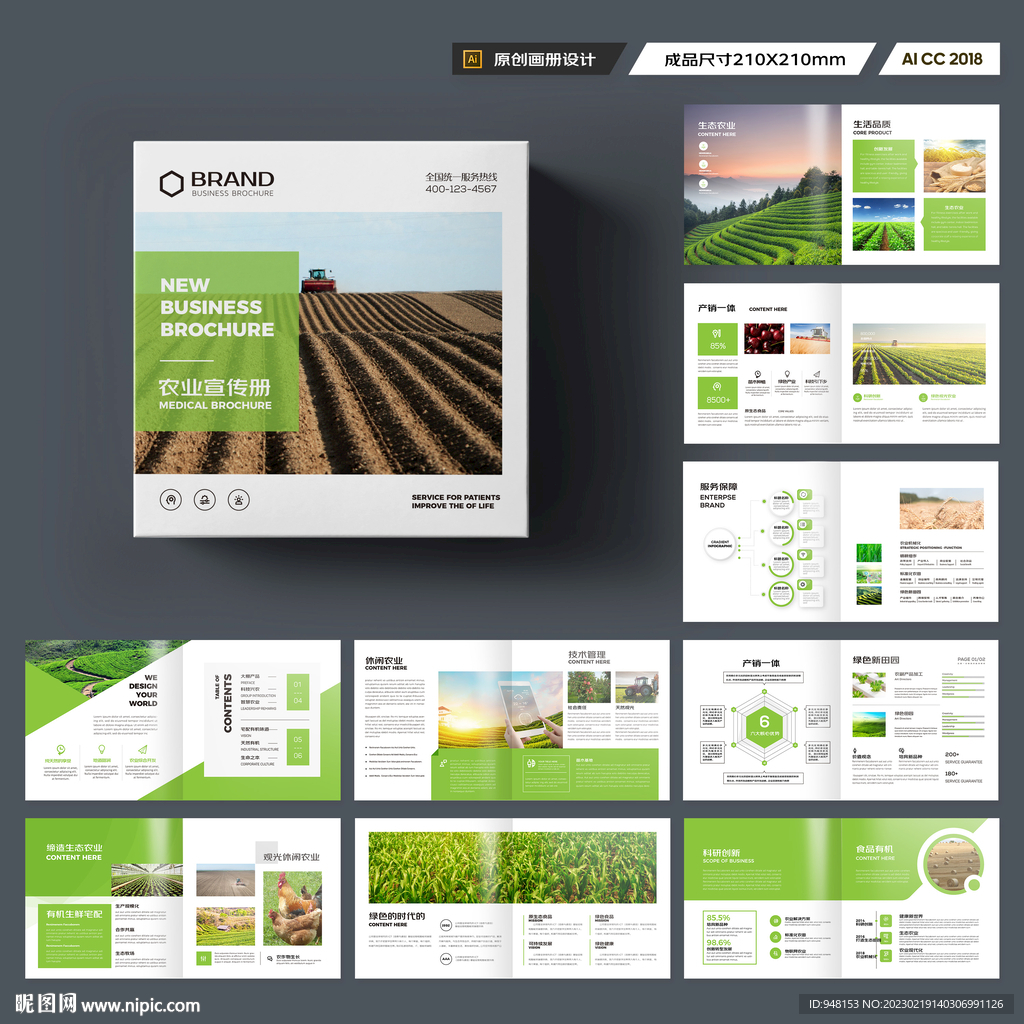 方形农业宣传册