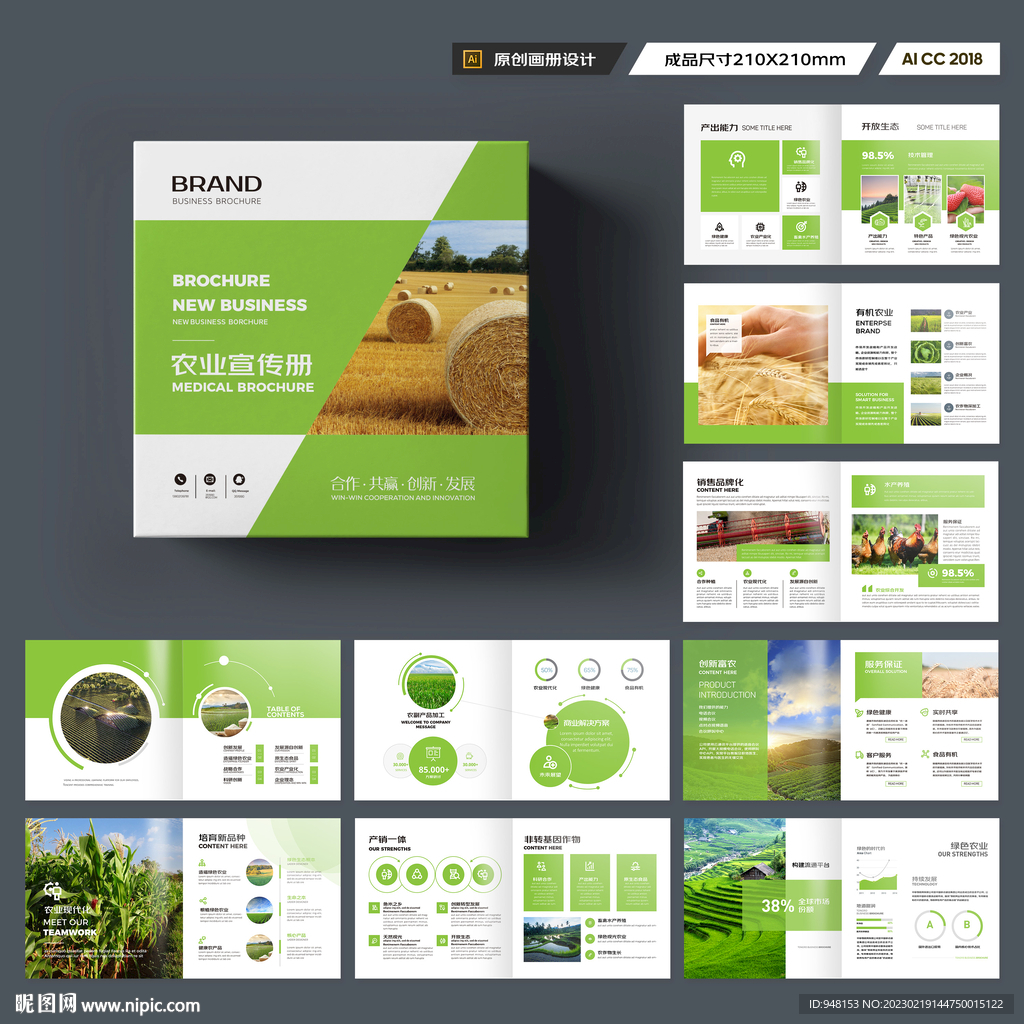 方形农产品宣传册