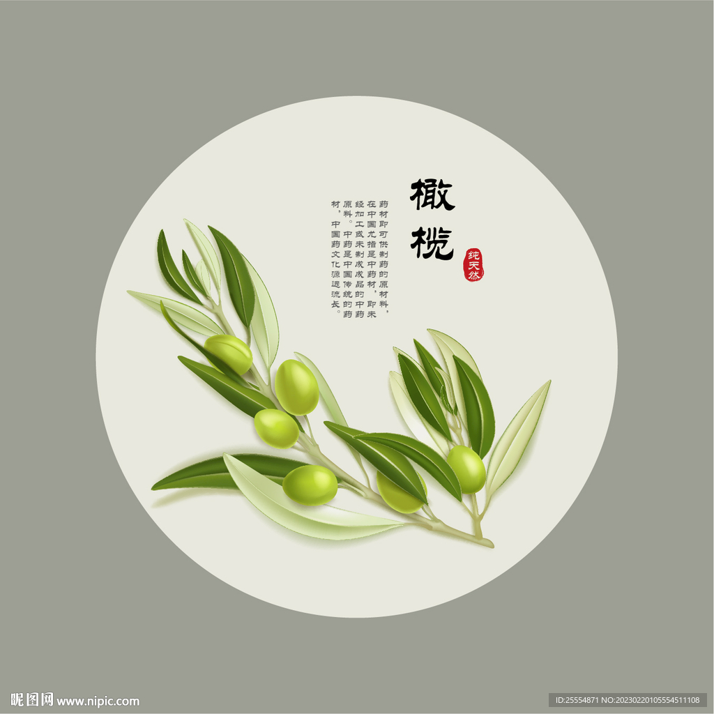 橄榄