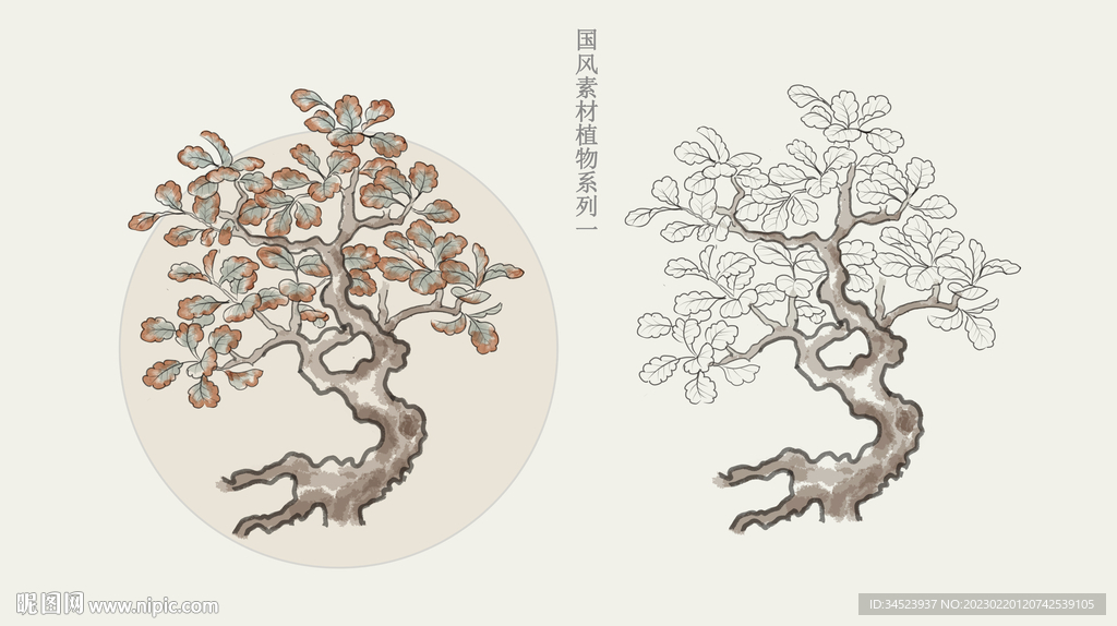 国画风植物