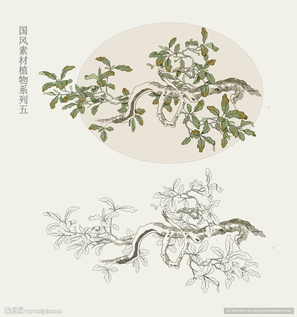 国画风植物