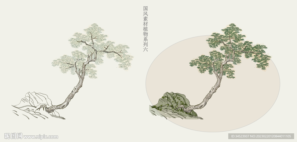 国画风植物