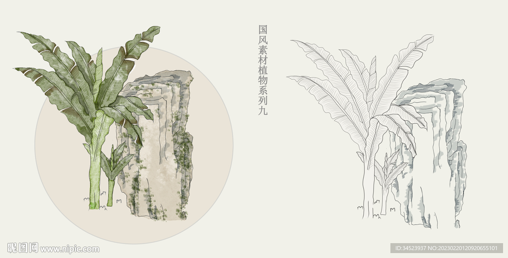 国画风植物