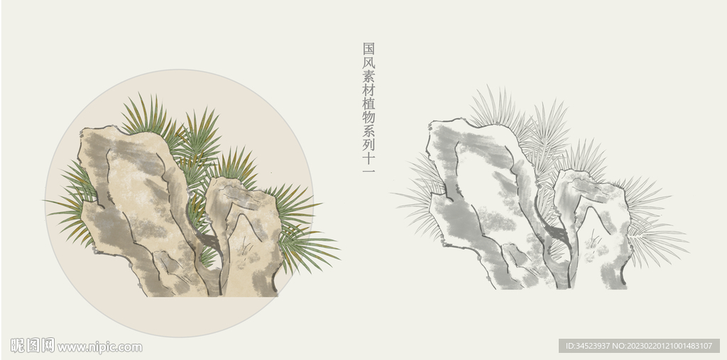 国画植物系列