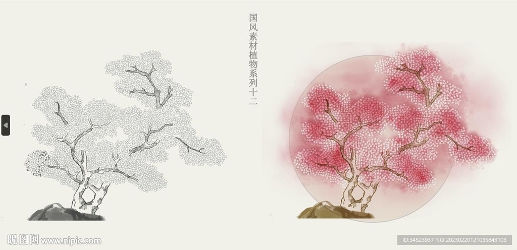 国画风植物