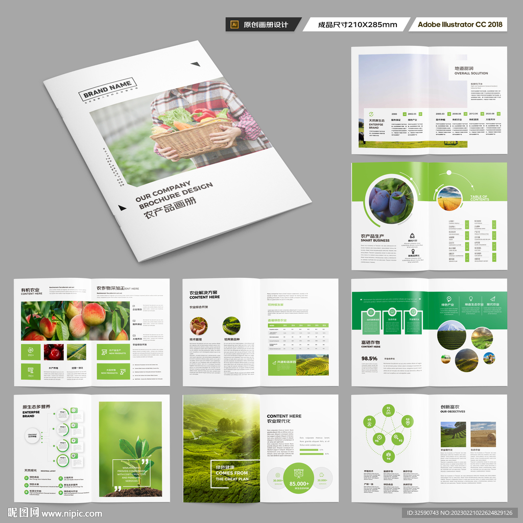 农产品宣传册
