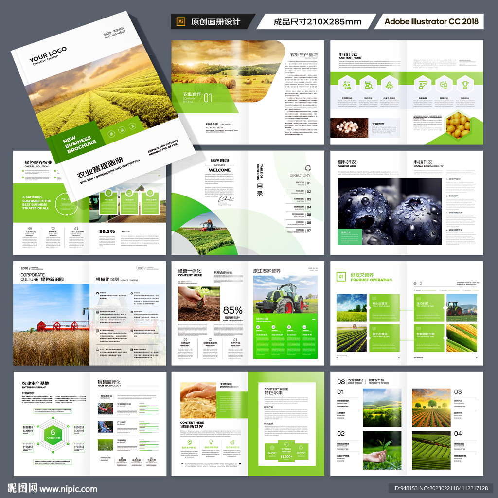 农产品宣传册