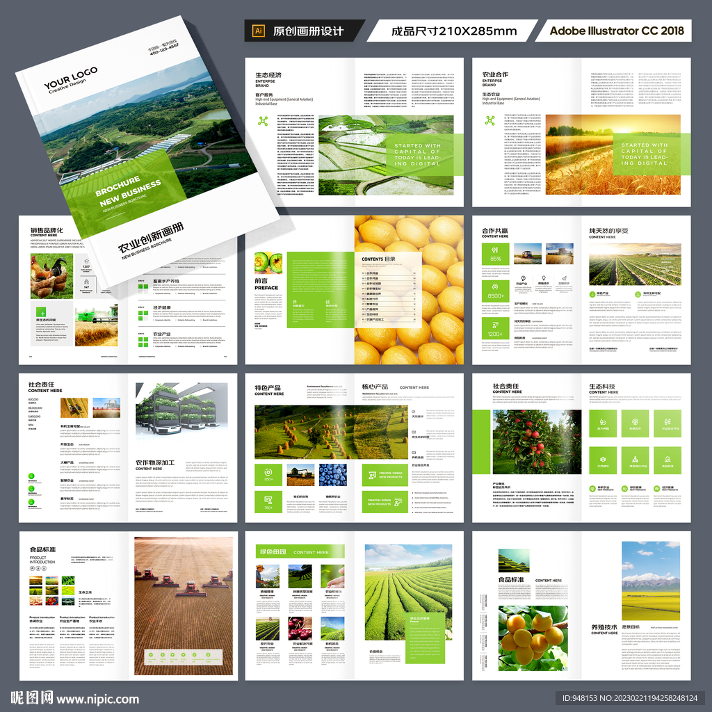 农产品宣传册