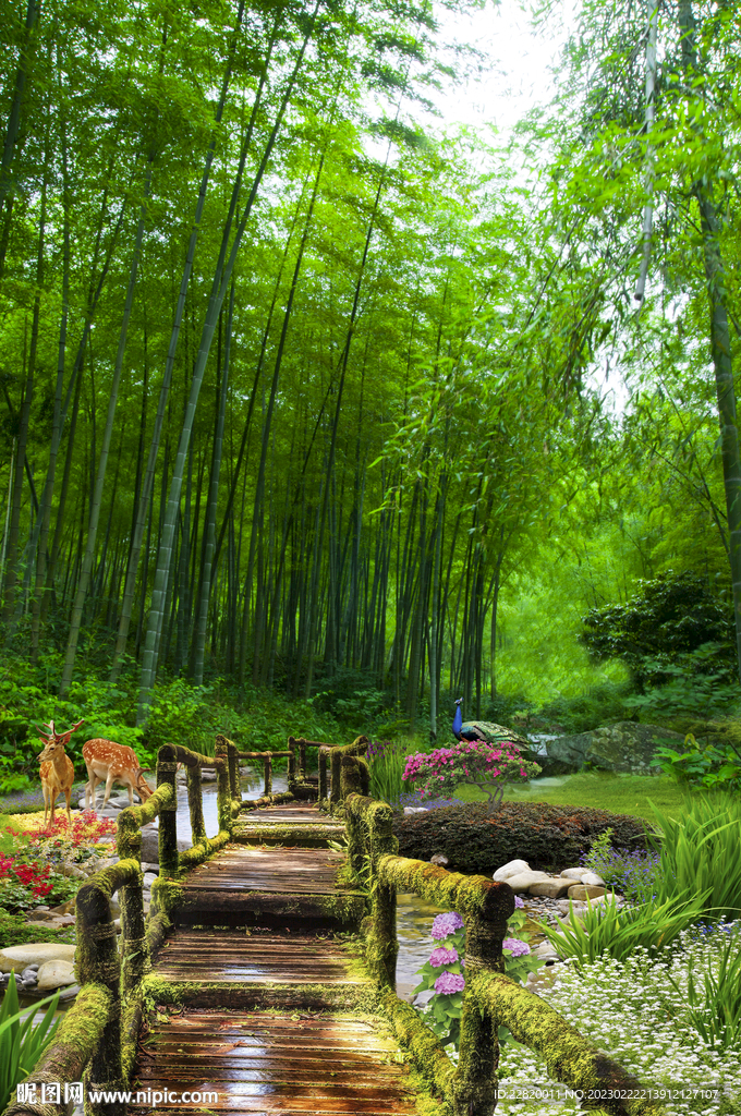 竹林小溪