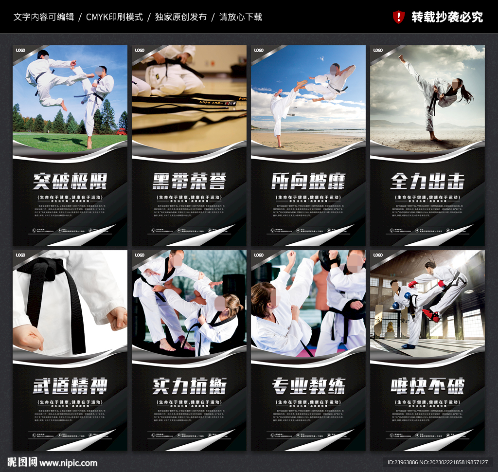跆拳道展板